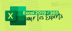 Excel 2019 / 365 pour les Experts