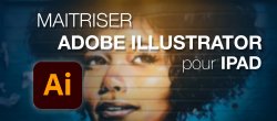 Maîtriser Adobe Illustrator pour iPad