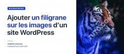Gratuit : Comment ajouter un filigrane sur les images d'un site WordPress ?