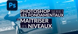 Les Niveaux dans Photoshop