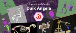 La formation complète et officielle à Duik Ángela