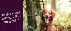 Maîtriser les outils de Retouche Photo Affinity Photo 2