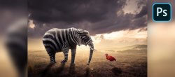 Photoshop - Manipulation Photo Créative Avancée Atelier 23