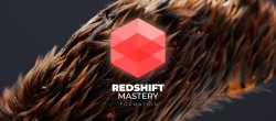 Formation Redshift Mastery