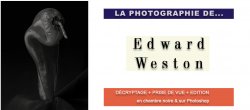 La Photographie d'Edward Weston