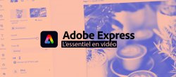L'essentiel d'Adobe Express