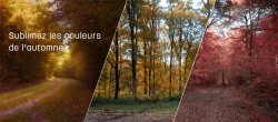 Sublimez les couleurs de vos photos d'automne