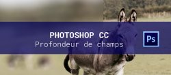 Gratuit : Ajouter un flou de profondeur sur une photo avec Photoshop