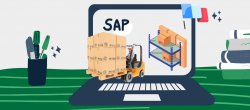 Formation SAP Extended Warehouse Management (EWM) : Processus Métiers