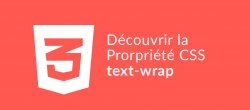 Maîtriser le text-wrap en CSS : vers une mise en page textuelle optimale