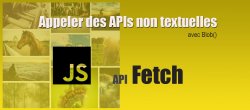 3/4. Api Fetch JS. Contacter des données non textuelles