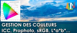 La gestion des couleurs avec Photoshop, Lightroom Classic et Camera RAW