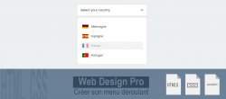 Faux Menu Déroulant, Vrai Effet WOW ! Créez le Vôtre en HTML, CSS & JS ?
