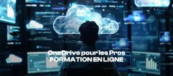 OneDrive pour les pros