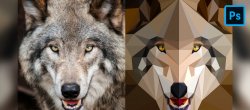 Créez une Illustration Low Poly Symétrique de Loup sur Photoshop