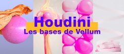 Vellum sur Houdini : Les bases essentielles