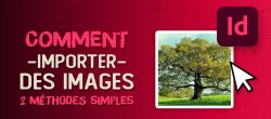Maîtriser l'importation d'images dans Adobe InDesign