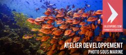 Retouche de photos sous marines - aquarium