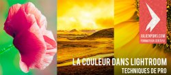 La couleur dans Lightroom 4 : les techniques des pros