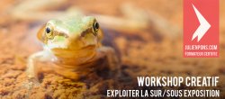 Workshop créatif : exploiter la sur/sous exposition