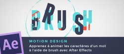 Motion Design : Brush et Animation Typographique