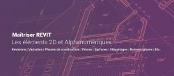 Maitriser REVIT - Les éléments 2D et alphanumériques