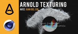 Texturing Arnold