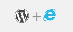 Ajouter des scripts et des styles pour Internet Explorer dans WordPress