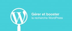 Comment booster la recherche WordPress