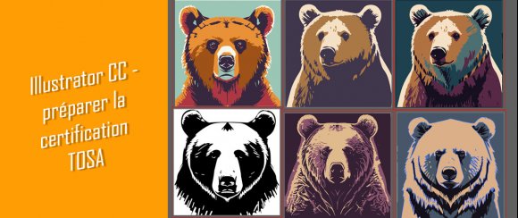 Illustrator CC - préparer la certification Tosa