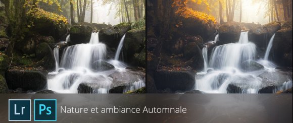 Nature et ambiance automnale
