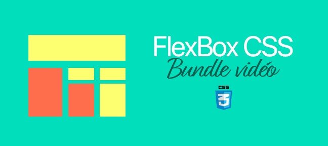 Tuto Bundle : Tout sur Flexbox CSS CSS