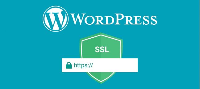 Gratuit : comment passer votre site WordPress en HTTPS avec OVH