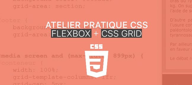 Tuto CSS-Grid et Flexbox :: 2 techniques complémentaires CSS