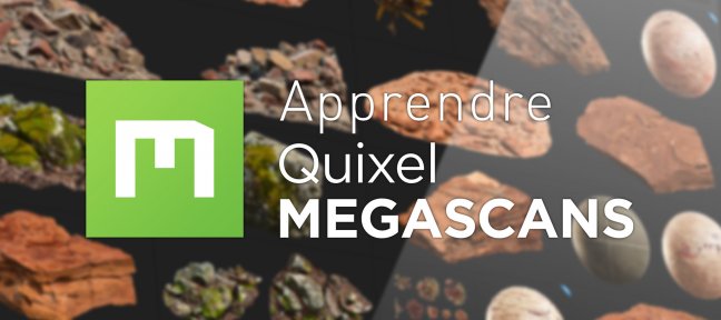 Tuto Gratuit : Apprendre Quixel Megascans Quixel Megascans