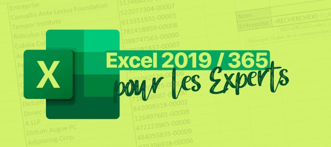Excel 2019 / 365 pour les Experts