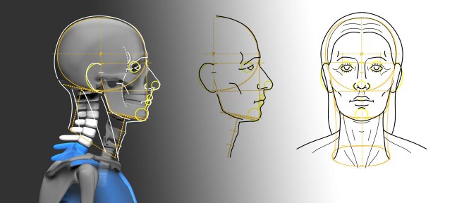 Tuto Têtes humaines de face et de profil : méthode de construction Dessin traditionnel