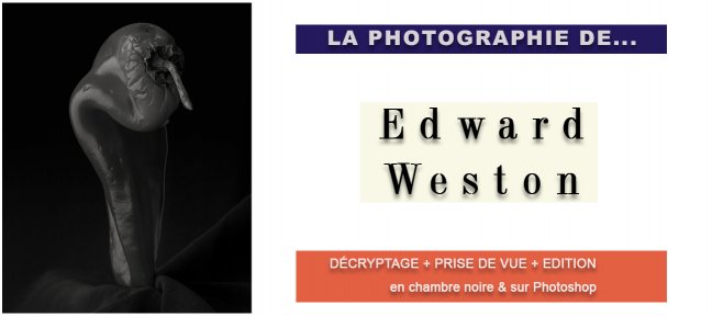 Tuto La Photographie d'Edward Weston Photo