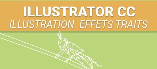 Illustrator - Illustration d’insecte au trait, précision et style graphique