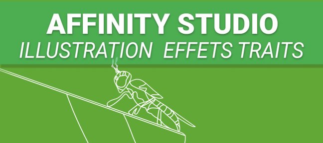 Affinity - Illustration au trait, précision et style graphique