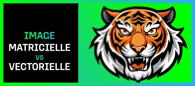Gratuit Comprendre le Matriciel vs le Vectoriel