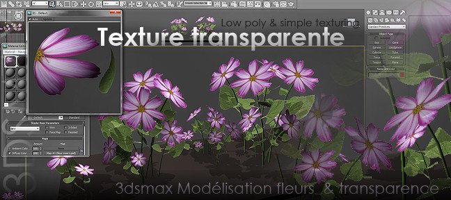 Fleurs en 3d avec texture transparente