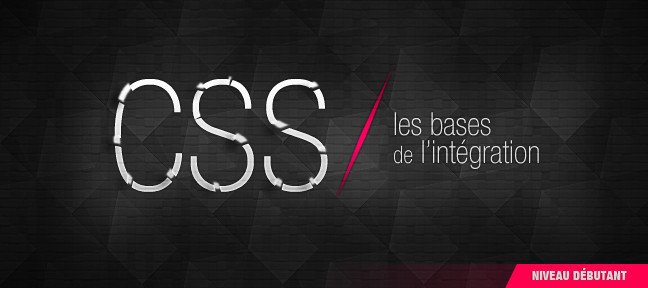 Tuto Apprenez les bases du CSS pour intégrer votre site web CSS