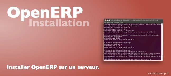 Tuto Installation d'OpenERP sur un serveur OpenERP