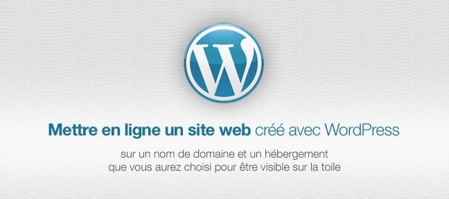 Tuto Mettre en ligne un site web créé avec WordPress WordPress