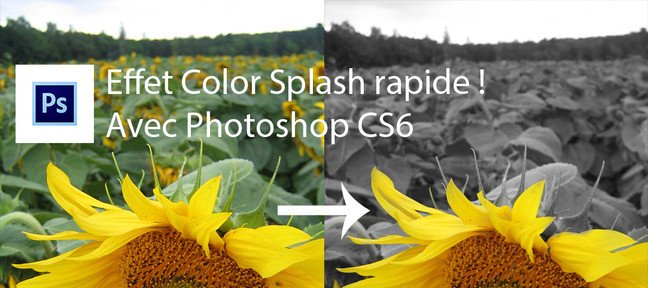 Tuto Effet Color Splash Photoshop
