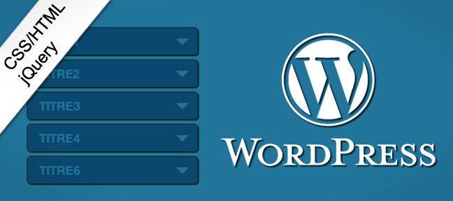 Tuto Un menu accordéon dans une page à partir de l'admin WP WordPress