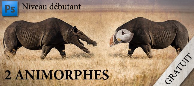 Tuto Réaliser 2 animaux hybrides (Animorphes) Photoshop