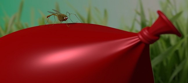 Atelier Blender : Modélisation du moustique