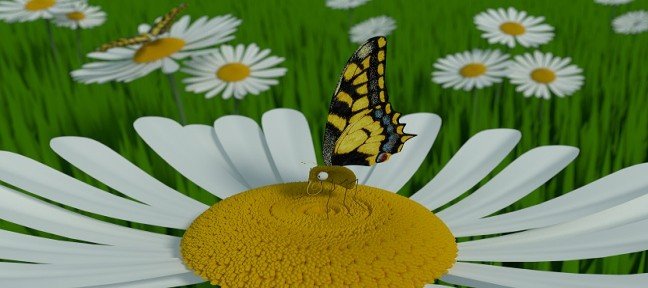 Atelier Blender : Création d'un papillon cartoon
